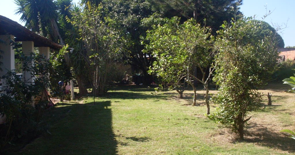 VENDESE CHACARA POMAR, HORTA E GALINHEIRO VENDESE CHACARA POMAR, HORTA E GALINHEIRO