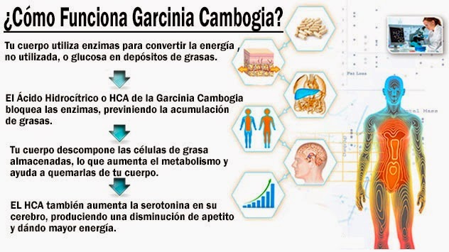 Aurantium Para como bajar 10 kilos en un mes sin efecto rebote Video Fue como bajar 10 kilos en un mes sin efecto rebote para perder