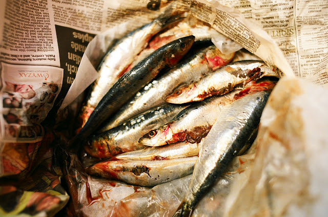 Fresh sardines from Deal in Kent