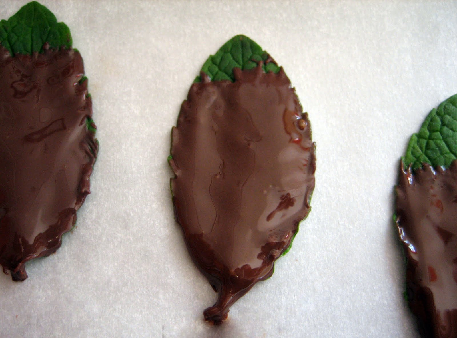 Lentil Breakdown ChocolateCovered Mint Leaves (My Thin Mints)