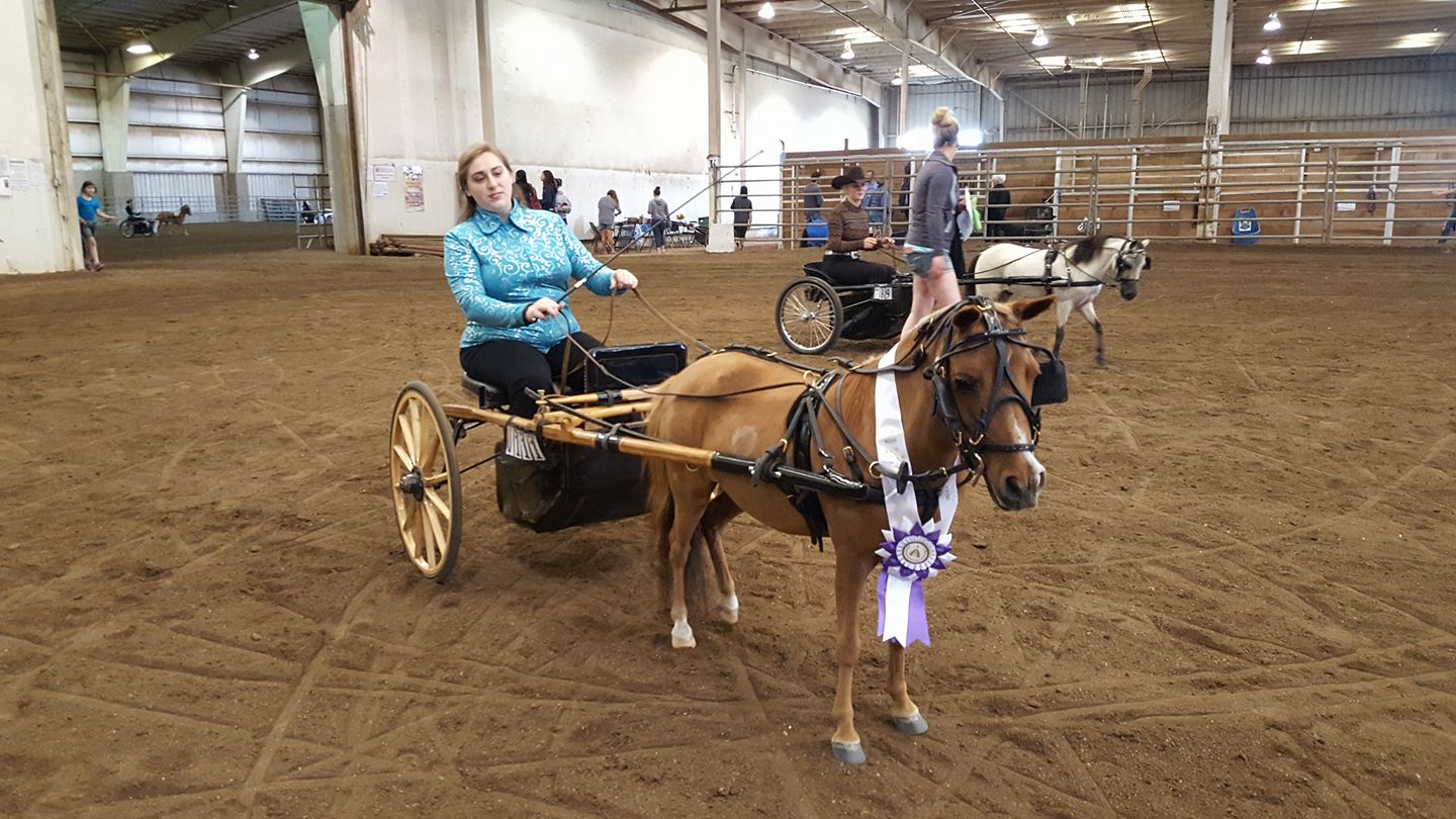 Jordan & Anna, Reserve Champion 13 to 18 Youth Obstacles Driving class