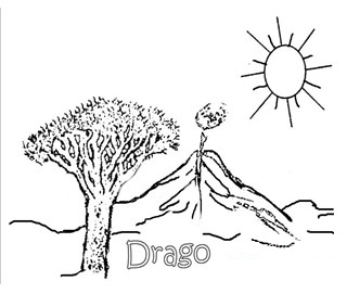 EDUCACION CANARIA INFANTIL educacion canaria infantil: