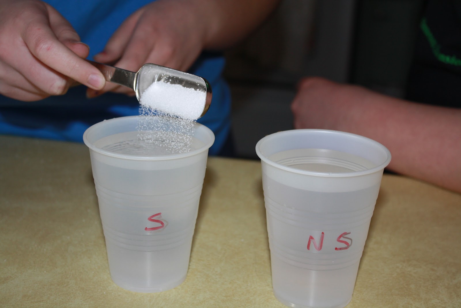 Once Upon a Family Salt Experiments