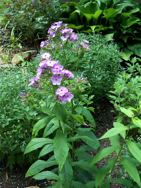kk's place june garden