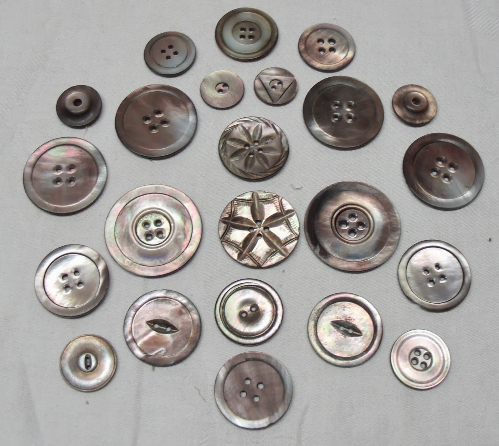 V & M Vintage Shell Buttons
