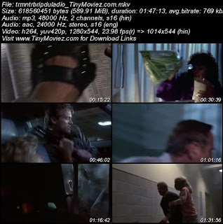 The Terminator 1984 720p BRRip Dual Audio 600MB