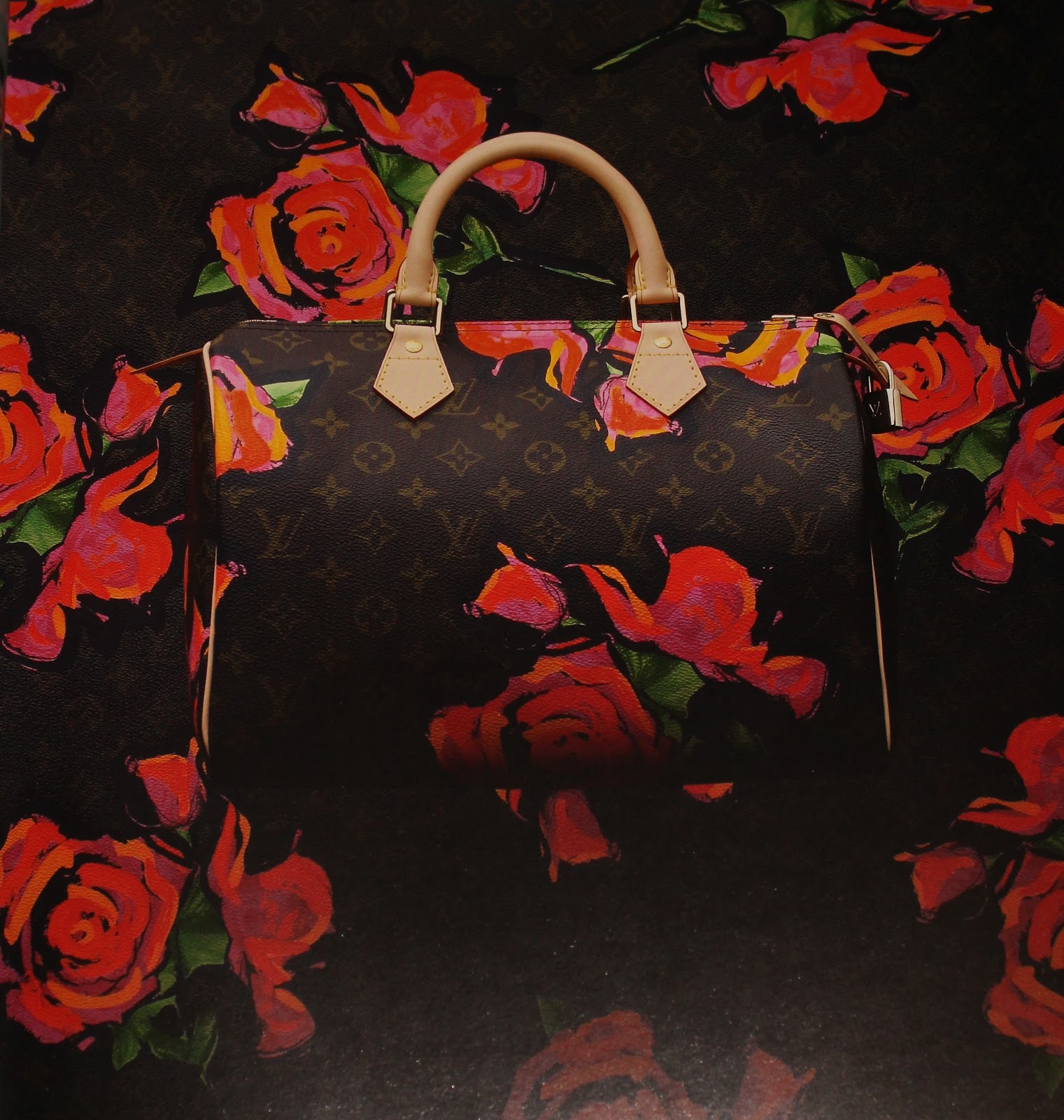 Louis Vuitton by Marc Jacobs Speedy Bag