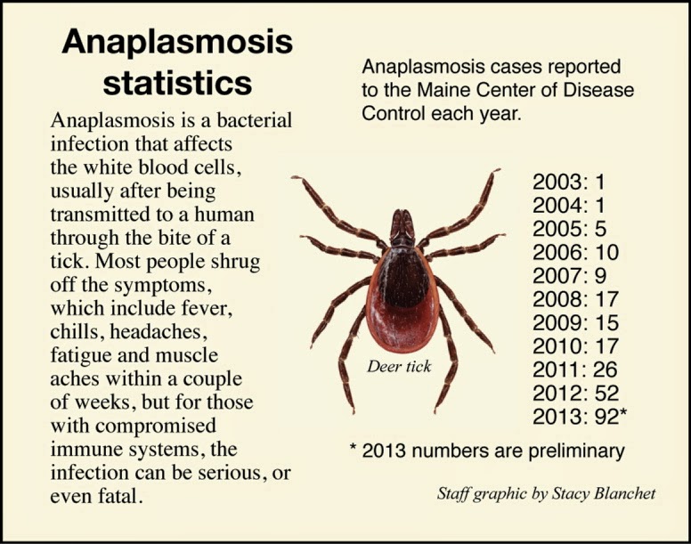 Midcoast Lyme Disease Support and Education Anaplasmosis in Maine