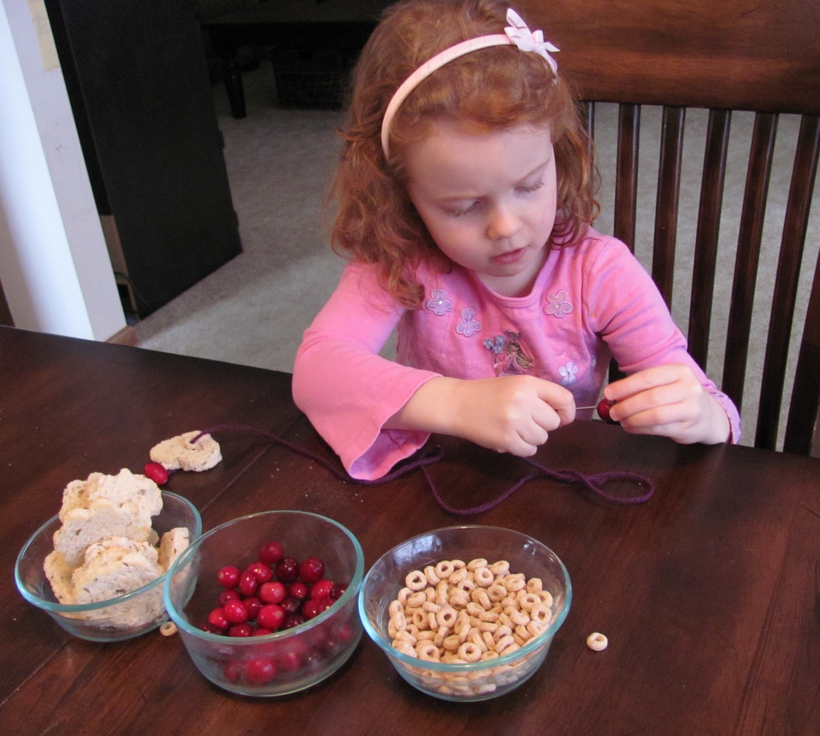 The Chocolate Muffin Tree Bird Feeder Garland