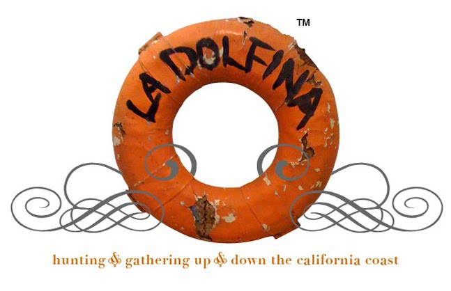 LA DOLFINA