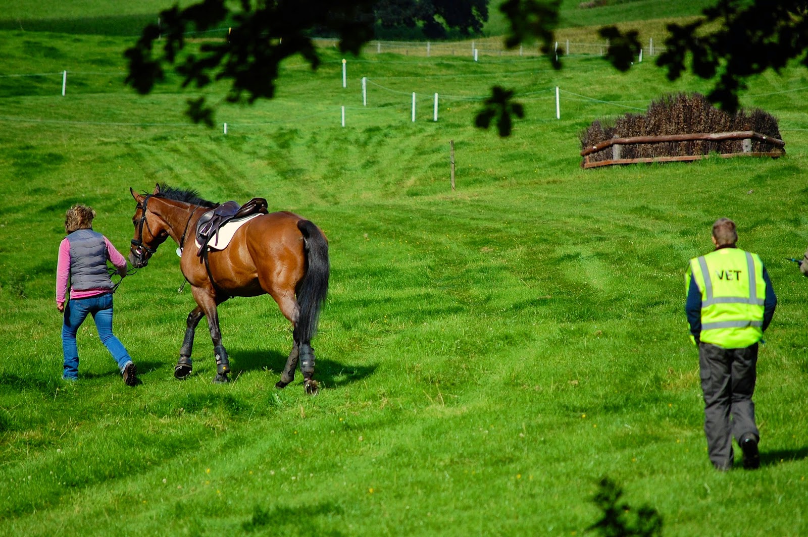 Blair Castle International Horse Trials; horse crash aftermath with vet
