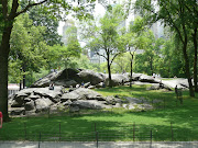 Central Park (new york central park )