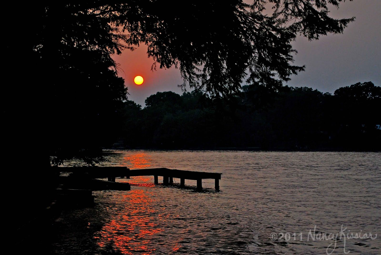 Wild About Texas A Quiet Evening on Lake Placid