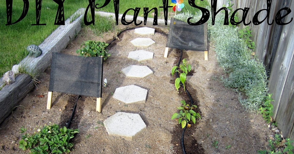 A Drop of This Making Your Own Plant Shade