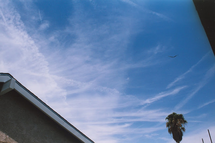 UFO / Chemtrails -  Las Vegas (Original)