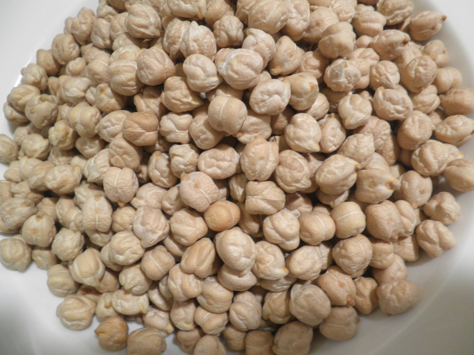 Disfruta de España. Gourmet, Gastronomy, Travel. TASTE SPAIN GARBANZO