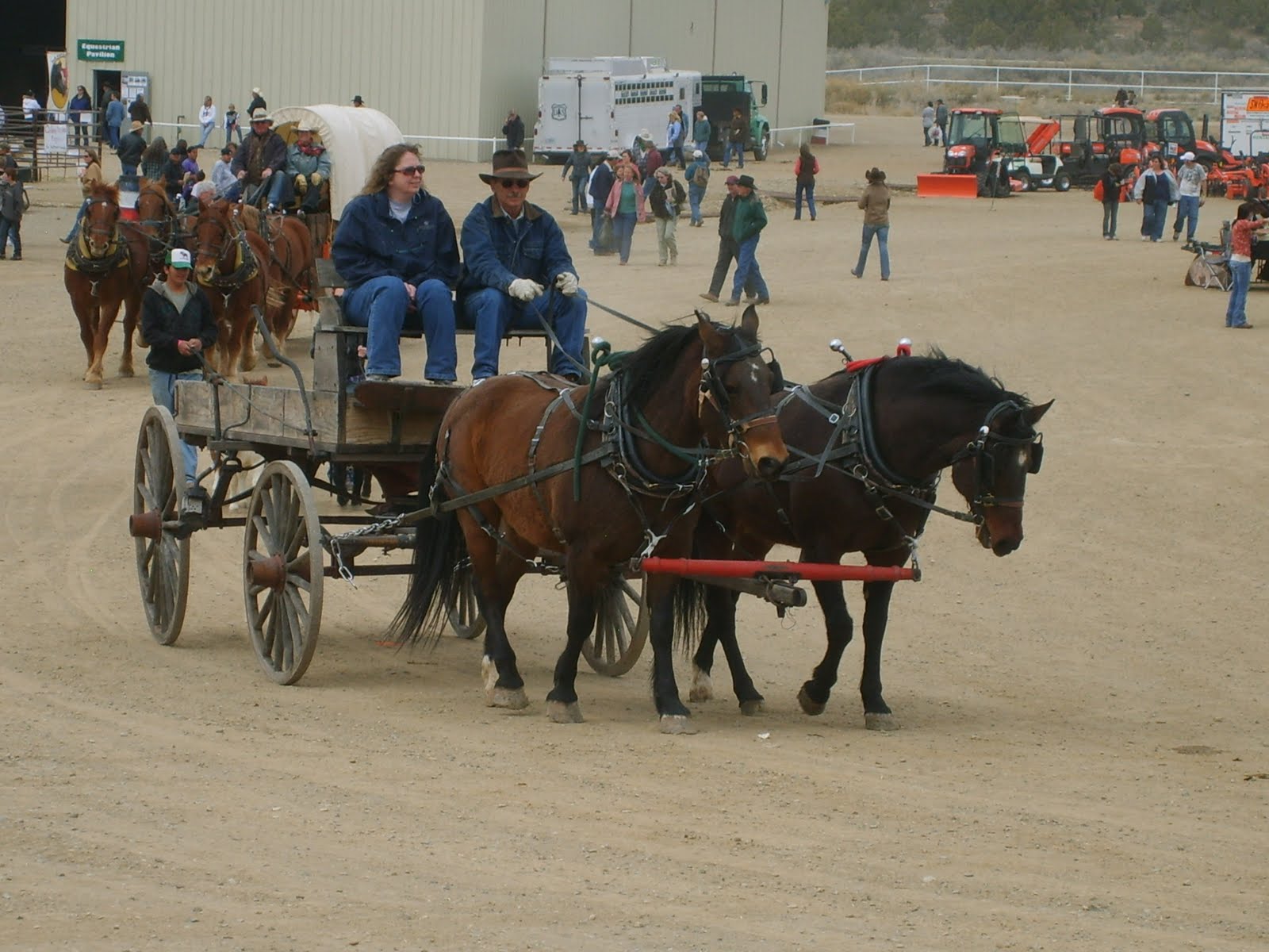Four Corners Draft horse, Mule, and Carriage Assn.
