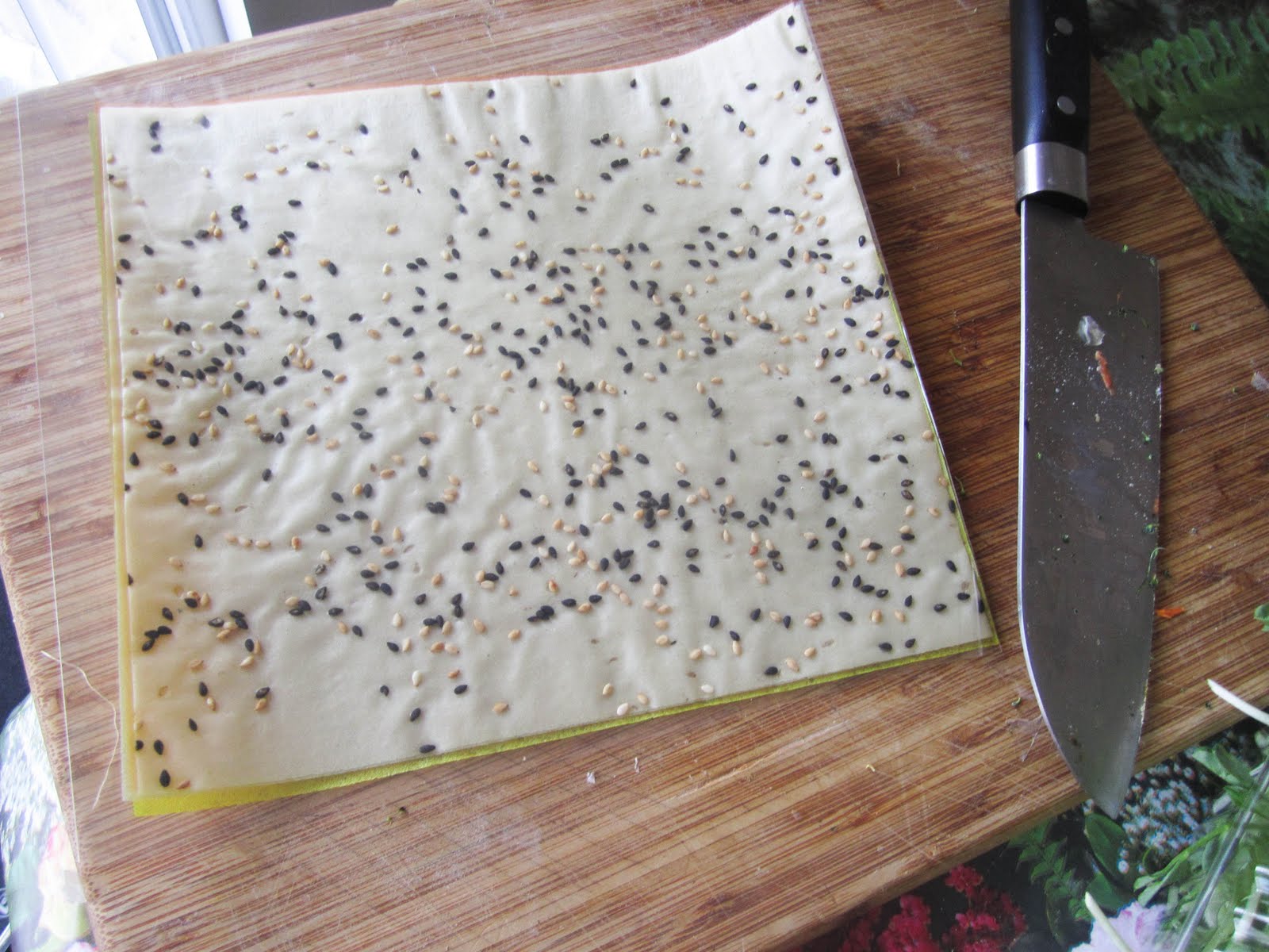 Savory And Savage Soy wrappers and barbeque dreams