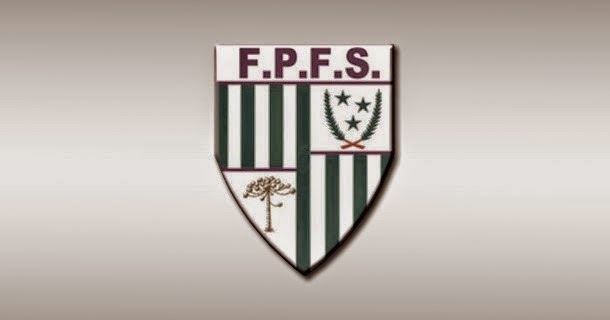 FPFS LANÇA OFICIALMENTE O CAMPEONATO ESTADUAL PAULISTA/PENALTY ADULTO COM  PREMIAÇÃO E VAGA NA TAÇA BRASIL – FPFS
