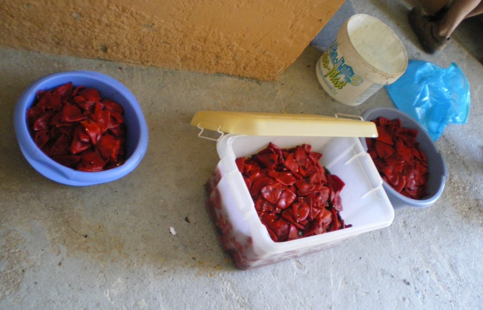 Alocados en la Cocina: PIMIENTOS DEL PIQUILLO ASADOS Y EMBOTADOS