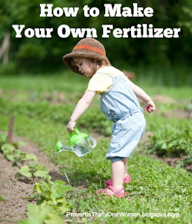 How to make your own fertilizer