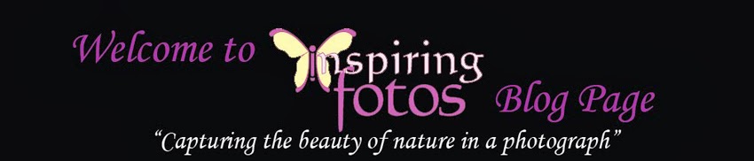 InspiringFotos Blog