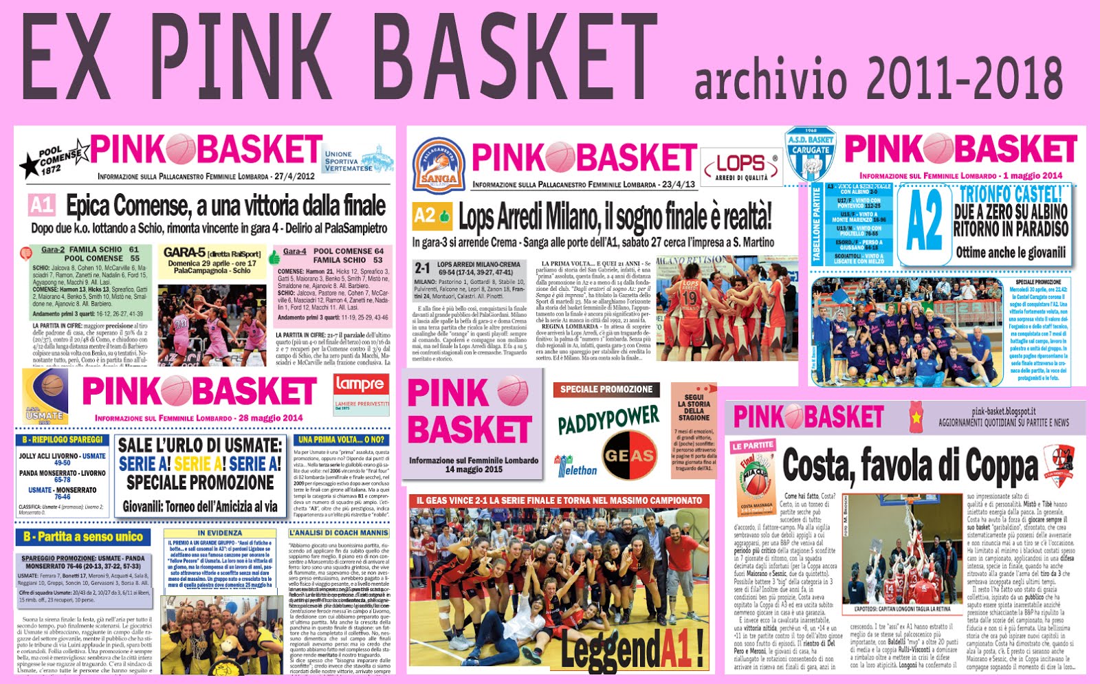 Ex Pink Basket