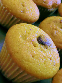 Mini muffin alla zucca e cranberries plum cake