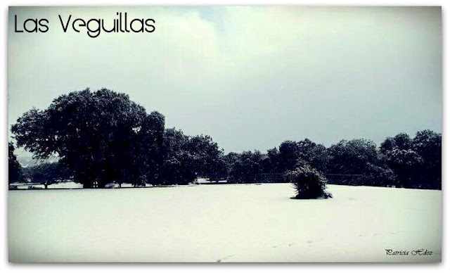 ENTRESIERRAS Revista Digital Salamanca Las Veguillas en blanco