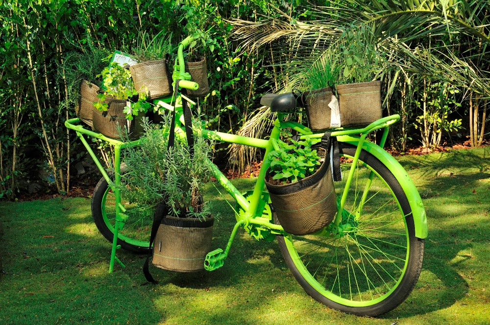 enfeite jardim bicicleta:PLANETA MISTURADO: ENFEITE SUA CASA E JARDIM DE FORMA SIMPLES E BONITA enfeite jardim bicicleta:PLANETA MISTURADO: ENFEITE SUA CASA E JARDIM DE FORMA SIMPLES E BONITA