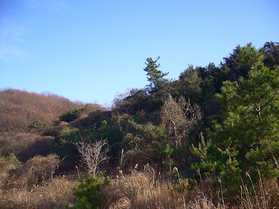 星田南星台