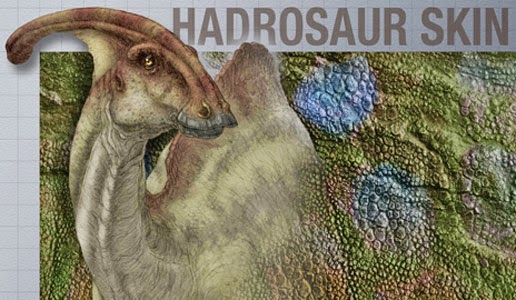 Thick-skinned dinosaur gets the last laugh Thick-skinned dinosaur gets the last laugh