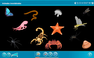 ANIMALES INVERTEBRADOS: Internet en el Aula - EDUCAR Y MOTIVAR
