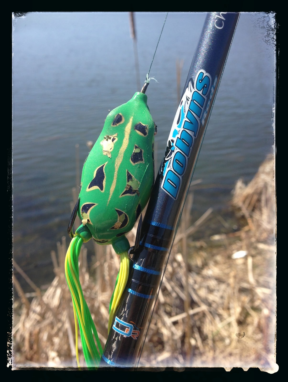 Bass Junkies Frog Pond: Spro Bronzeye 65 Frog Review