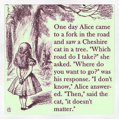 STU PITT BLOG One day Alice came to a fork in the road...