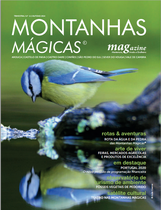 Montanhas Mágicas Magazine