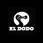 EL DODO