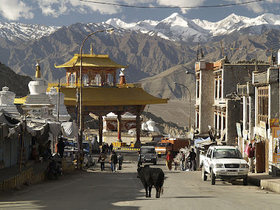 Kashmir Tour Operator