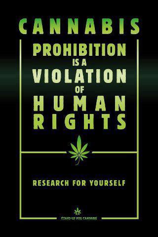 Cannabis+prohibition+is+a+violation+of+human+rights.jpg