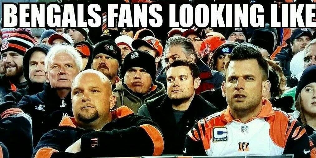 22 Meme Bengals Fans looking like BengalsHaters