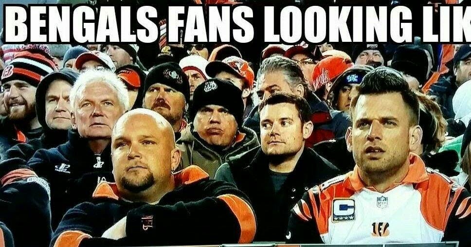 22 Meme Bengals Fans looking like BengalsHaters