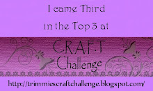 In de Top 3 bij C.R.A.F.T. Challenge