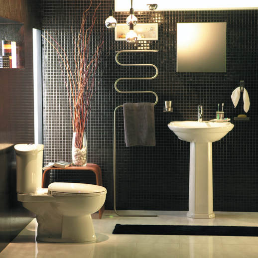 Bathroom accessory set and black elongated toilet seat
