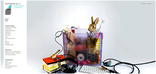 online portfolios