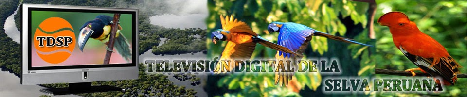 TELEVISIÓN DIGITAL DE LA SELVA PERUANA