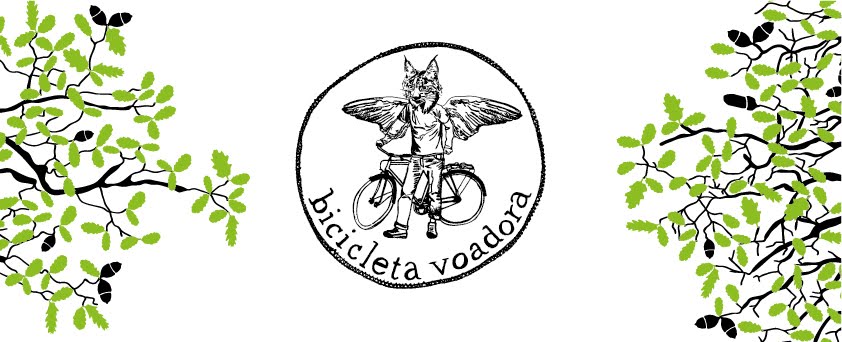 bicicleta voadora