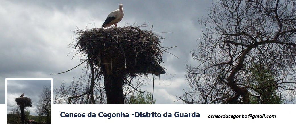 Censos da Cegonha