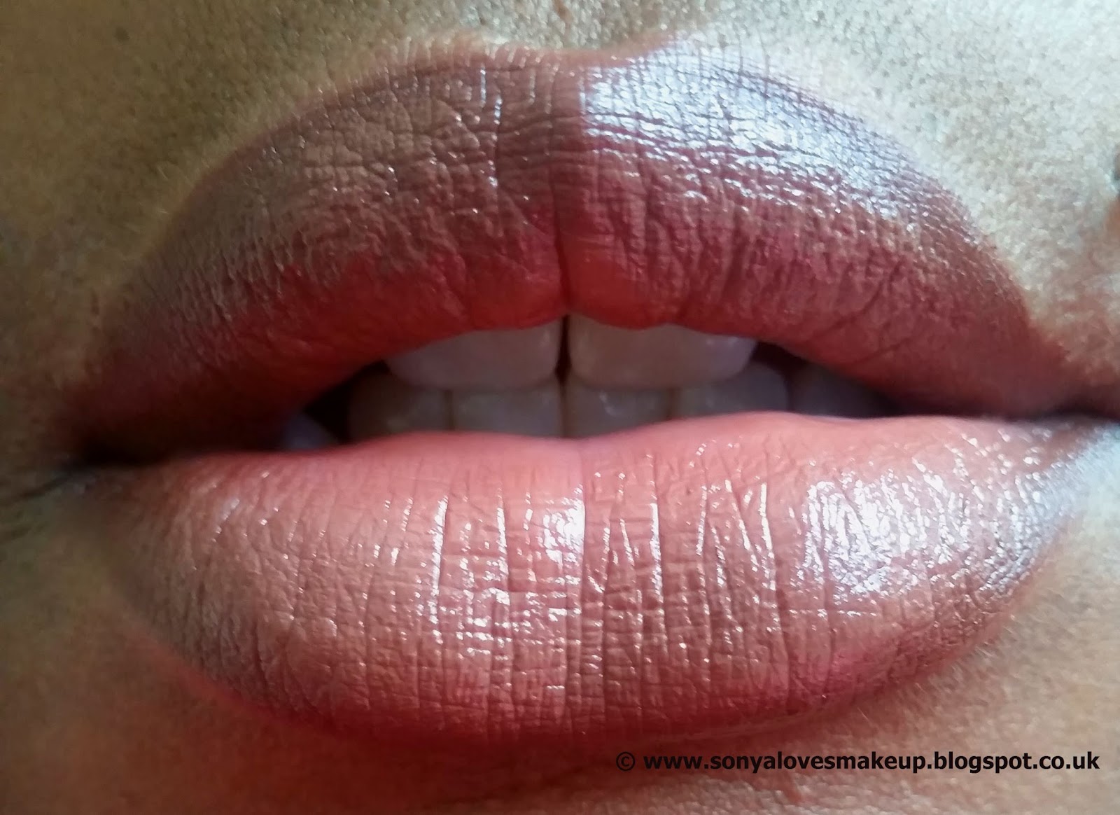 Sonya Loves Makeup MAC Chestnut Lip Liner