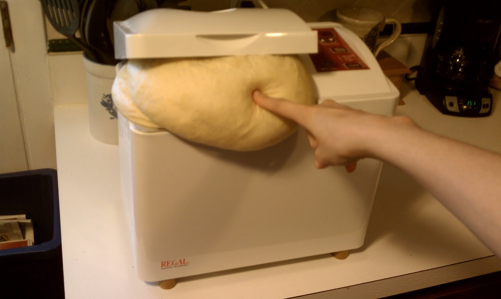 Honey Challah Bread (using breadmaker)