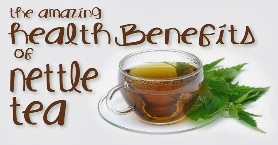 Natural Cures Not Medicine Health Benefits of Nettles and Nettle Tea